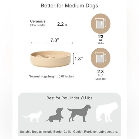 Bicopet Slow Feeder Pet Dog Ceramic Maze Non-Slip Silicone Rim Puzzle Heavy Duty - Picture 6 of 13